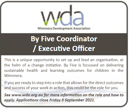 executive officer
