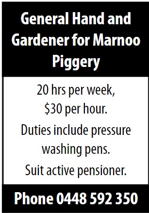 general hand and gardener