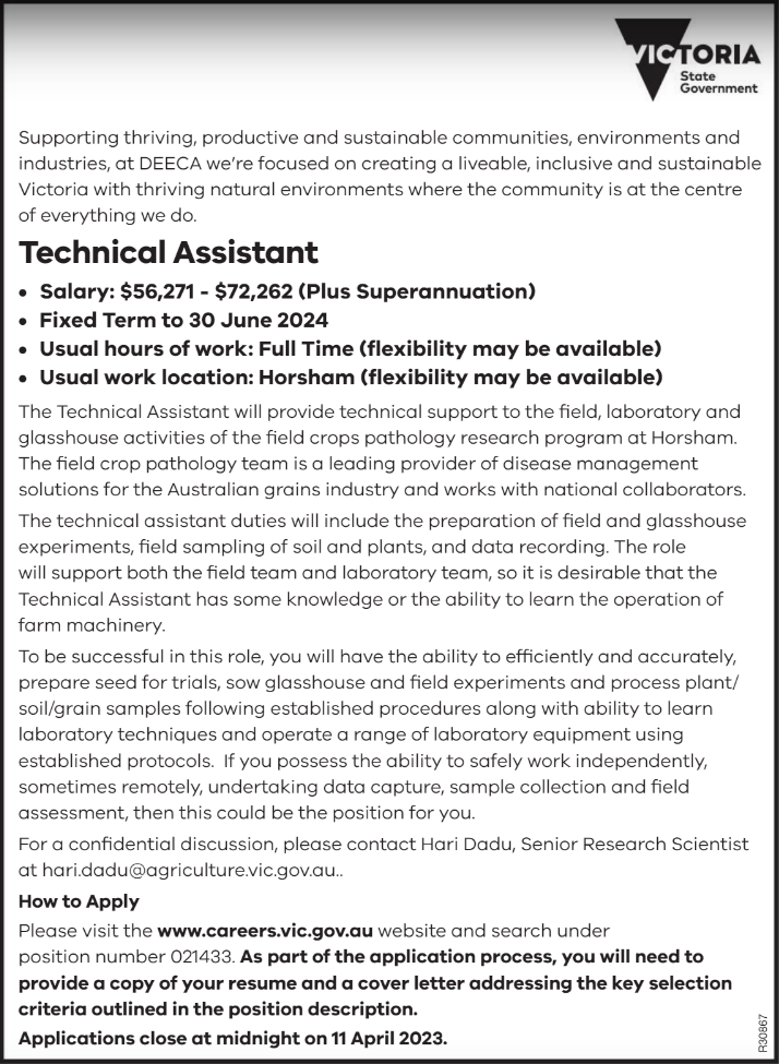 Technical Assistant